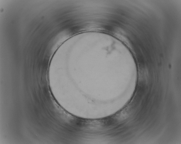 X0000070401338200606231753