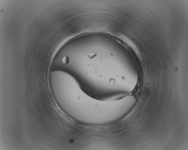 X0000070401340200606231753