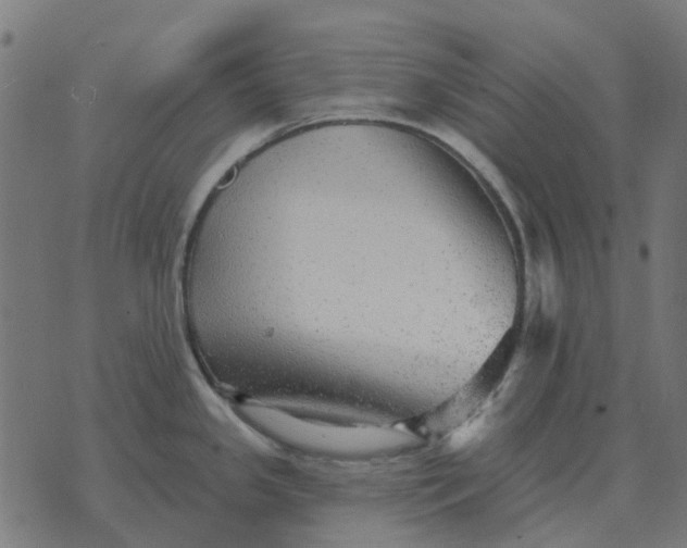 X0000070401341200606231753