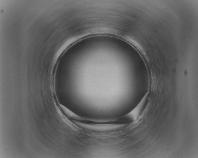 X0000070401342200606231753