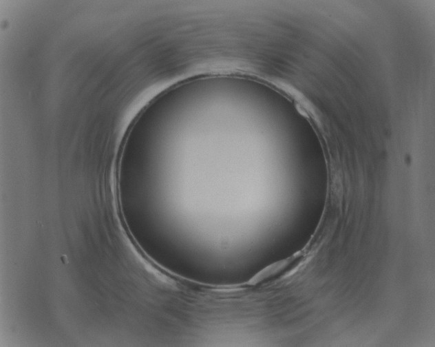 X0000070401343200606231753