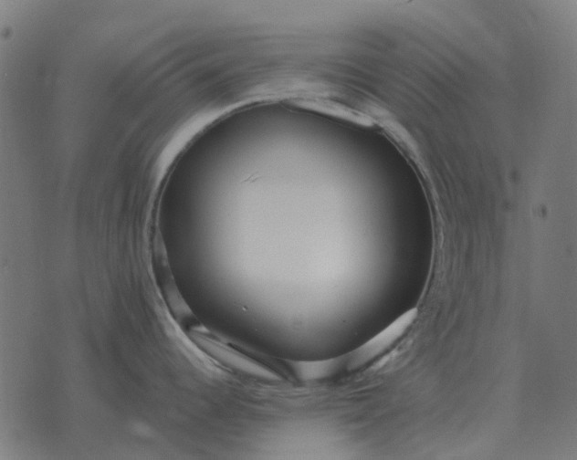 X0000070401344200606231753