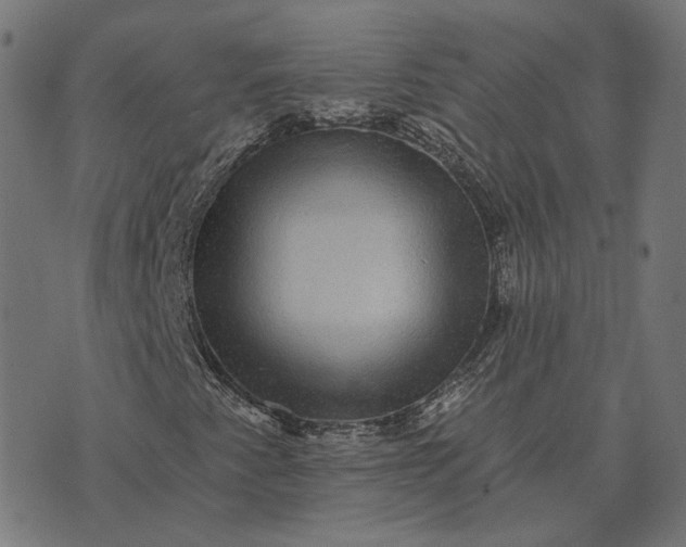 X0000070401345200606231752