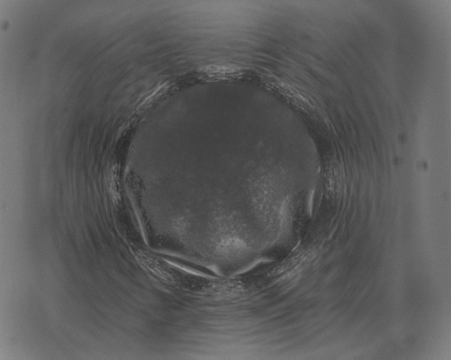 X0000070401346200606231752