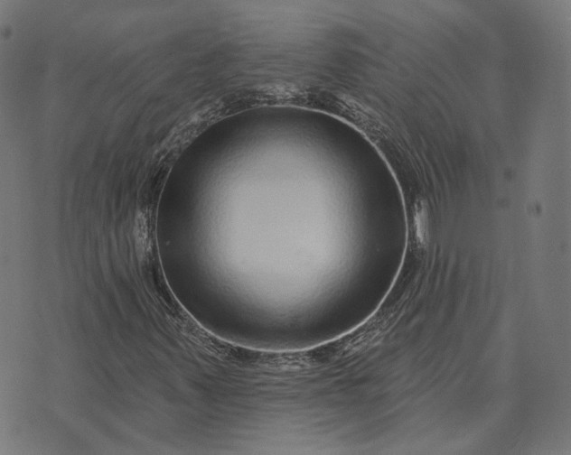 X0000070401347200606231752