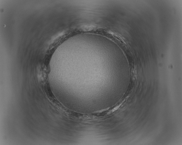 X0000070401349200606231752