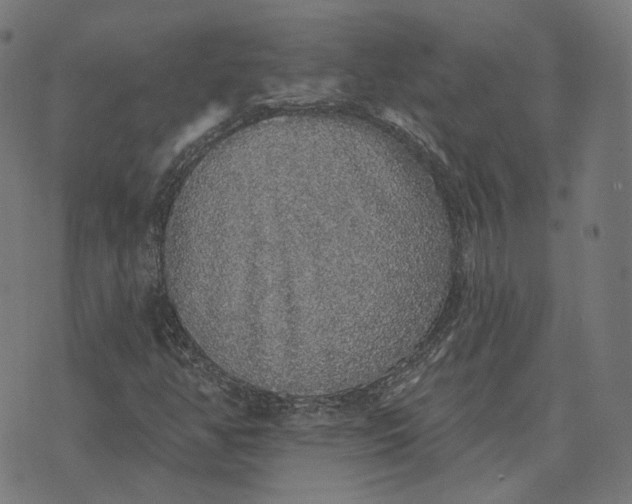 X0000070401350200606231752