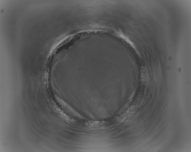 X0000070401352200606231752