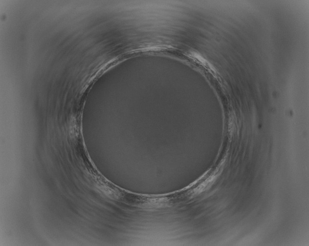 X0000070401353200606231752