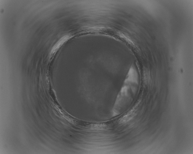 X0000070401354200606231752