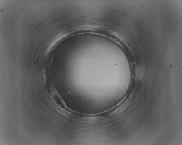 X0000070401355200606231752