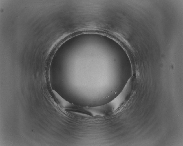 X0000070401356200606231752