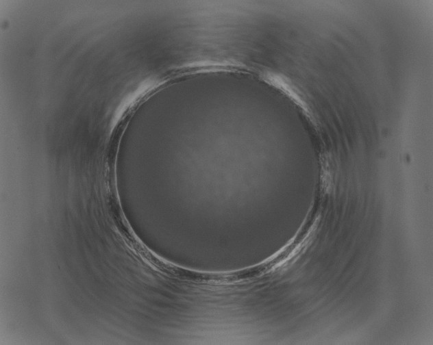 X0000070401357200606231752