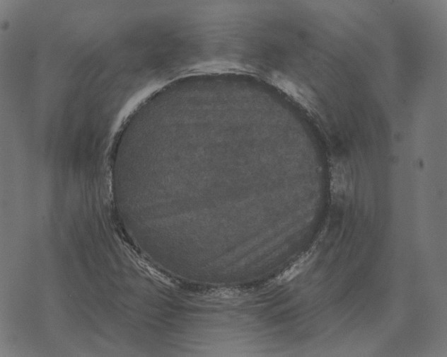 X0000070401358200606231752