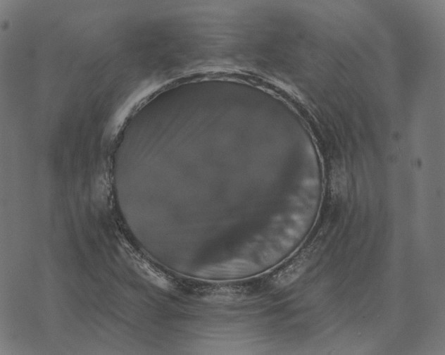 X0000070401359200606231752