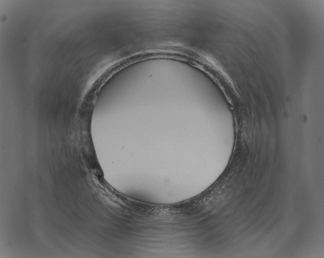 X0000070401360200606231752