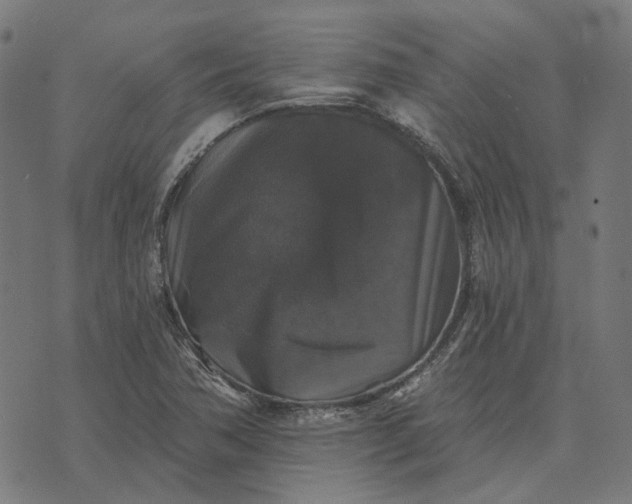 X0000070401362200606231752