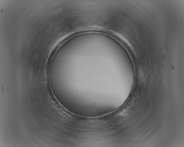 X0000070401364200606231752