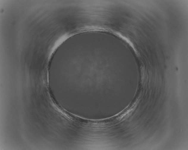 X0000070401365200606231752