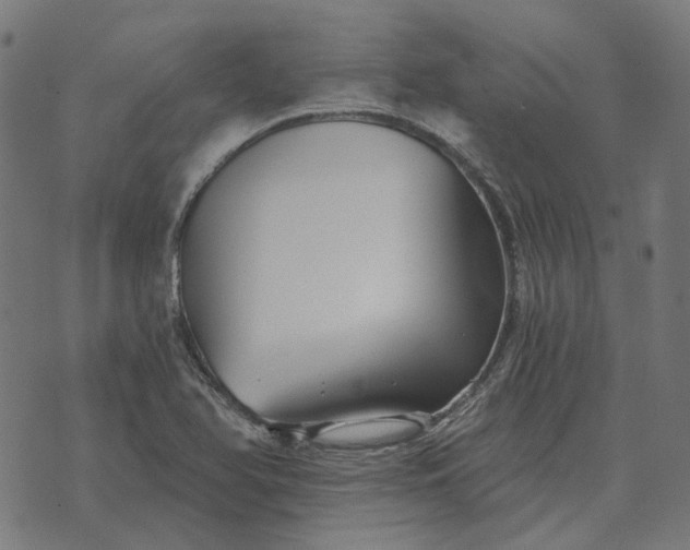 X0000070401366200606231752