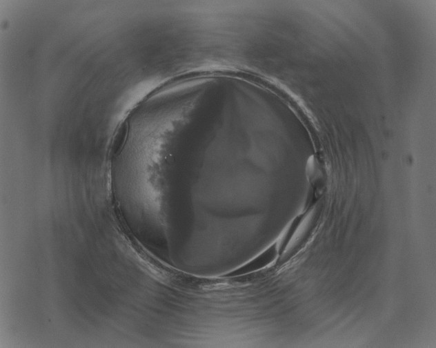 X0000070401367200606231752