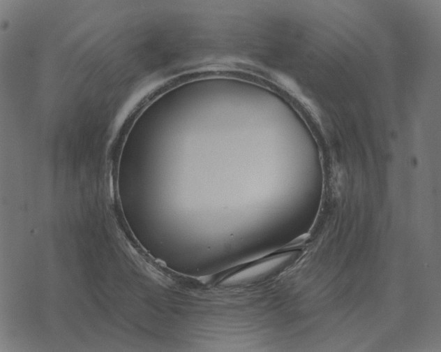 X0000070401368200606231752