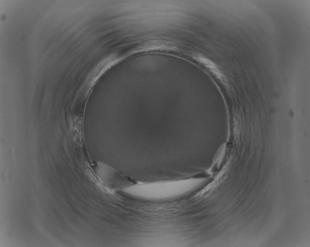 X0000070401369200606231752