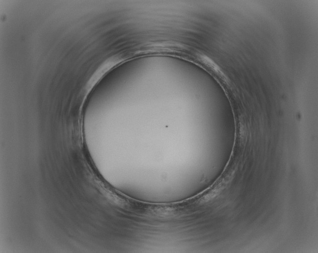 X0000070401370200606231752