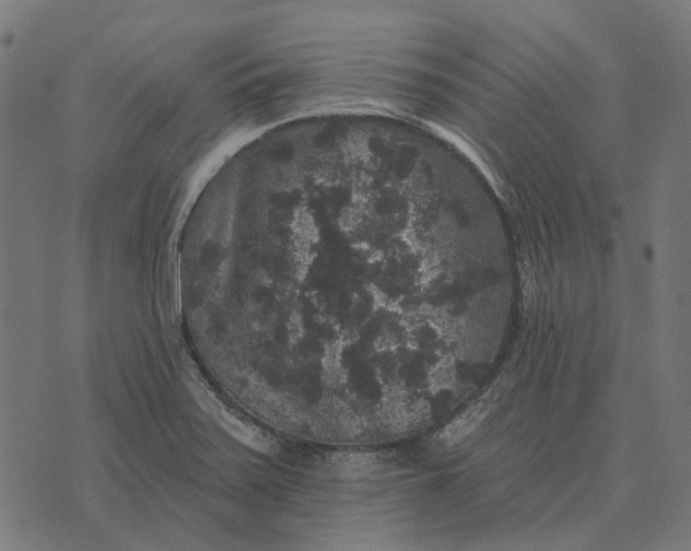 X0000070401371200606231752