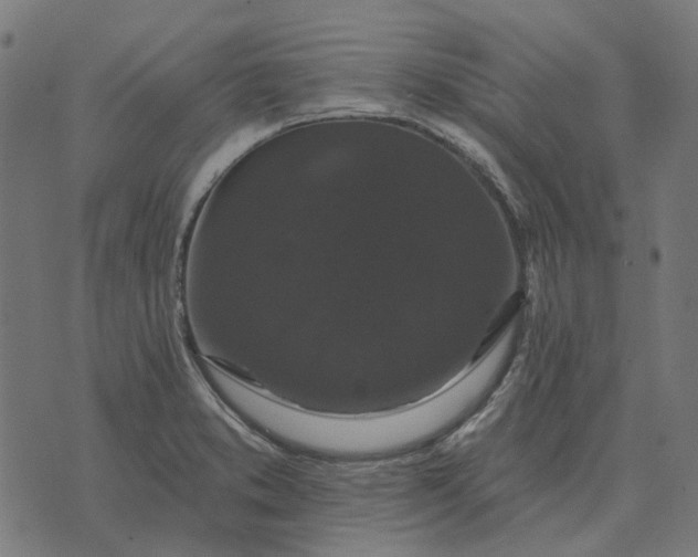 X0000070401373200606231752