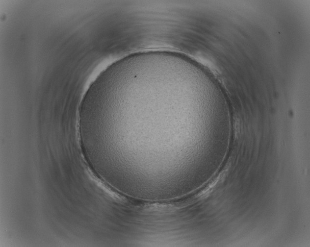 X0000070401374200606231752