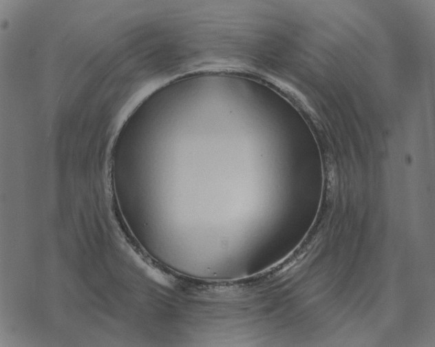 X0000070401375200606231752