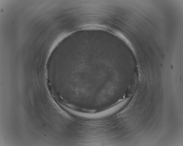 X0000070401376200606231752