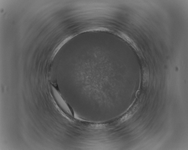 X0000070401377200606231752