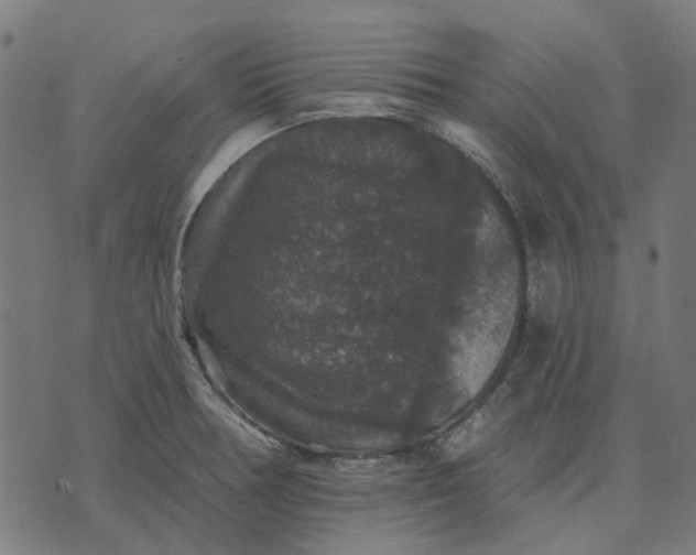 X0000070401378200606231752