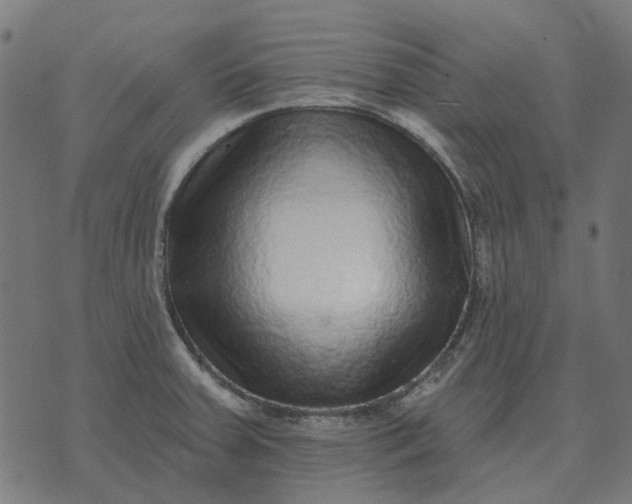 X0000070401379200606231752