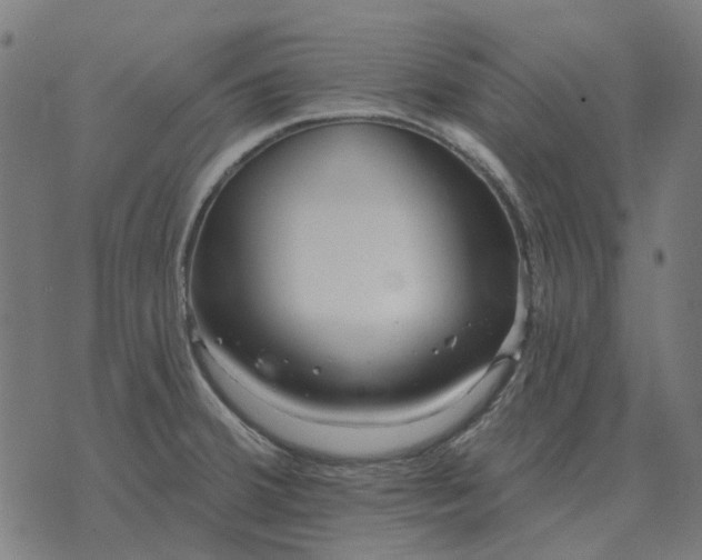 X0000070401380200606231752