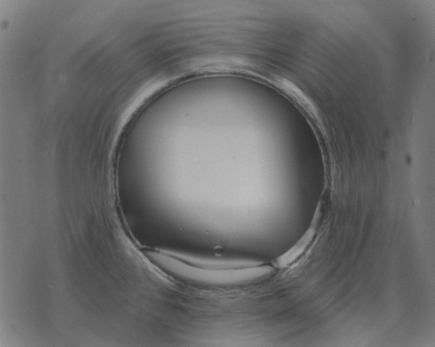 X0000070401384200606231751