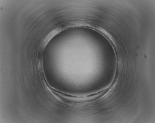 X0000070401385200606231751