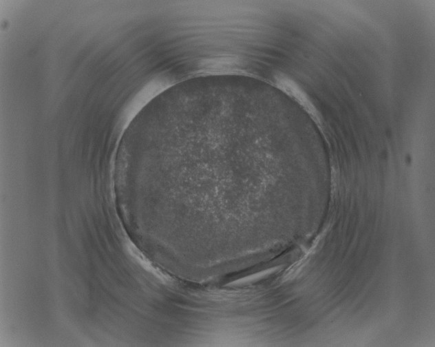 X0000070401386200606231751