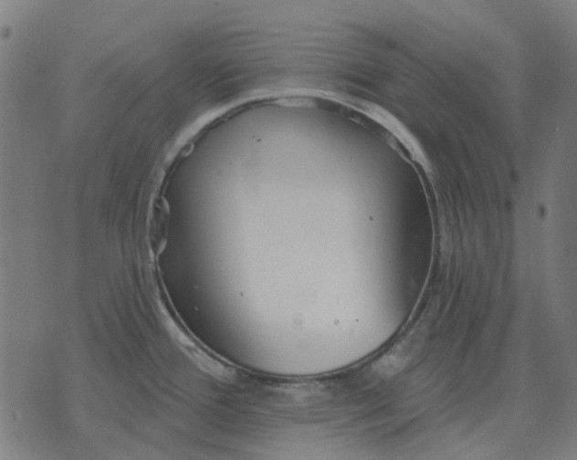 X0000070401388200606231751