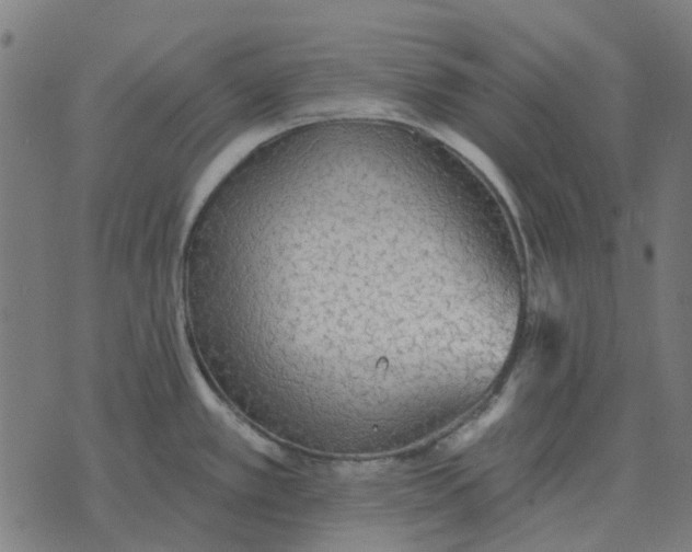 X0000070401389200606231751