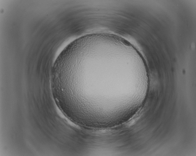 X0000070401390200606231751