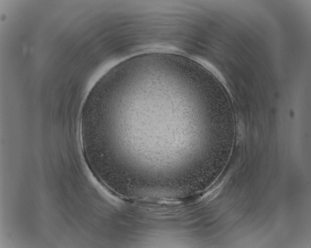 X0000070401391200606231751