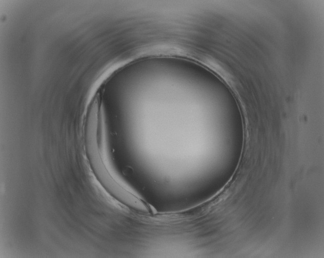 X0000070401392200606231751