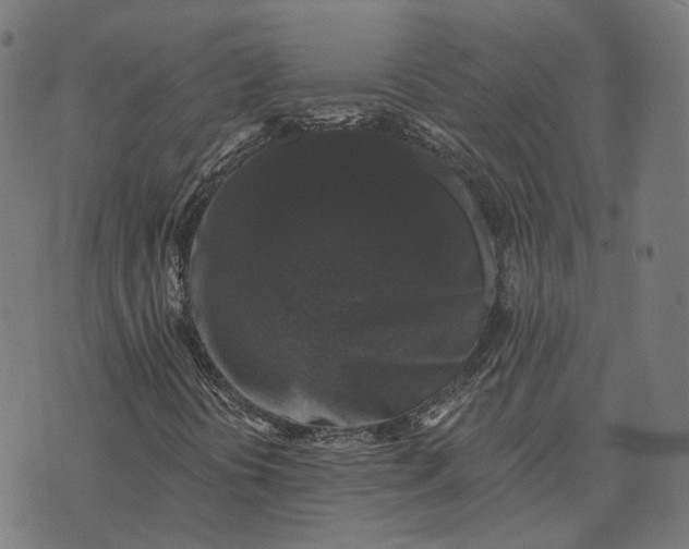 X0000070401394200606231751