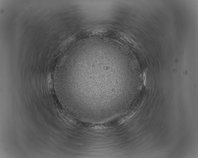 X0000070401395200606231751