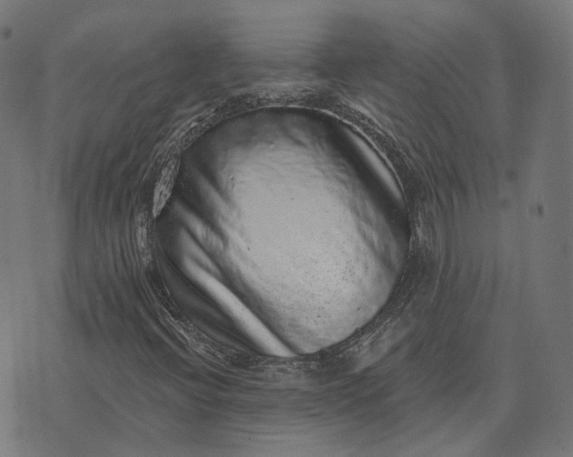 X0000070401396200606231751