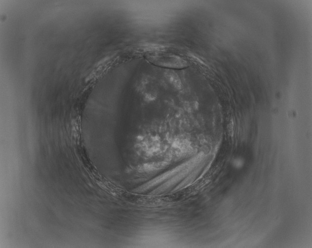 X0000070401397200606231751