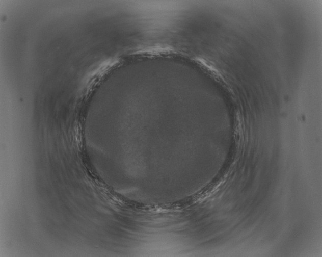 X0000070401398200606231751